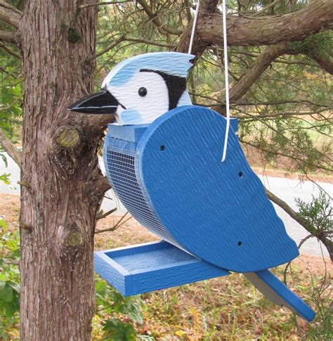 The Best Blue Jay Bird Feeders for Peanuts - Birds and Blooms