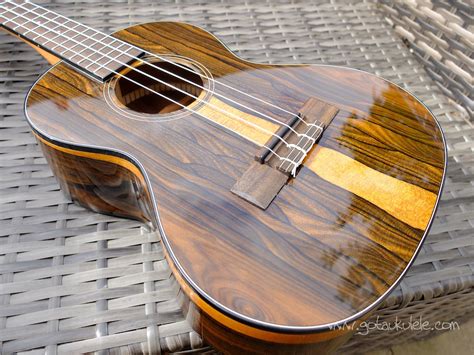 Kala KA-ZCT-T Ziricote Tenor Ukulele REVIEW