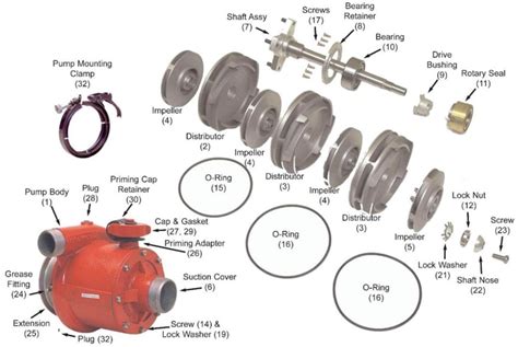 hale pump parts diagram - FrazierSaafin