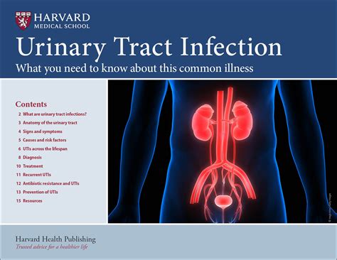 What Are The Signs Of A Urinary Tract Infection In A Female at Bryan Albrecht blog