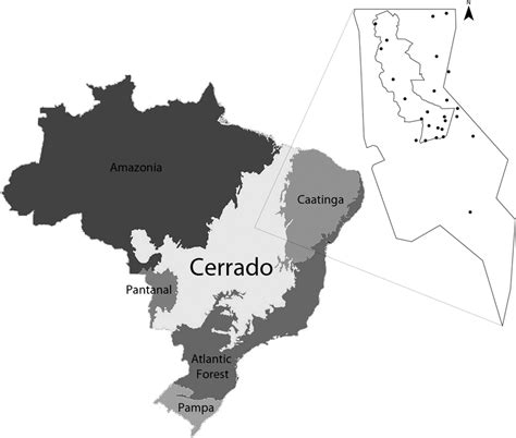 Map of the study area within the Cerrado biome, in Tocantins State,... | Download Scientific Diagram