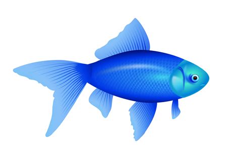 Fish Clip art - blue fish PNG image png download - 1969*1307 - Free ...