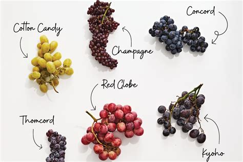 The Ultimate Grape Guide | OAmericans.com