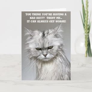 Funny Cat Get Well Cards - Well Wishes Cards | Zazzle.ca