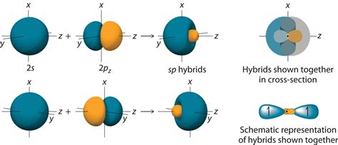 Chapter 5.2: Localized Bonding and Hybrid Orbitals - Chemistry LibreTexts