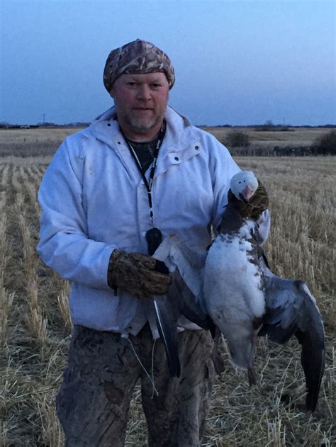 Goose Hunting for Geese | Goose Hunting Saskatchewan