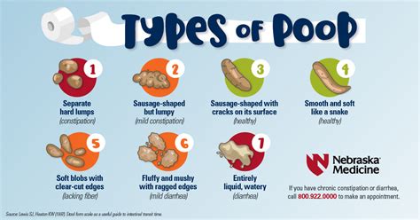 What does healthy poop look like? | Nebraska Medicine Omaha, NE