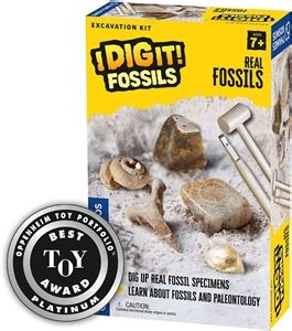 I Dig It! Fossils - Fossils Excavation Kit