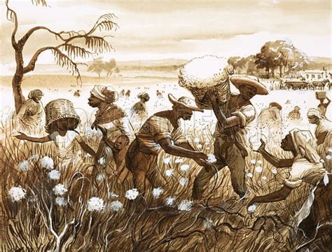 Cotton Plantations Slavery