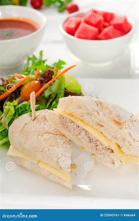 Tuna and Cheese Sandwich with Salad Stock Image - Image of rucola, green: 22045161