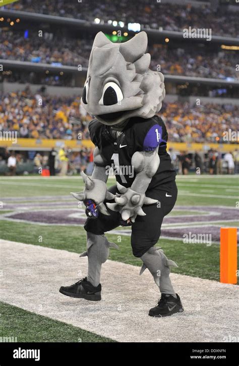 Aug. 31,2013:.TCU Horned Frog mascot in action.in a NCAA football Stock Photo: 60209289 - Alamy