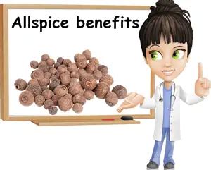 Properties and Benefits of Allspice - NatureWord