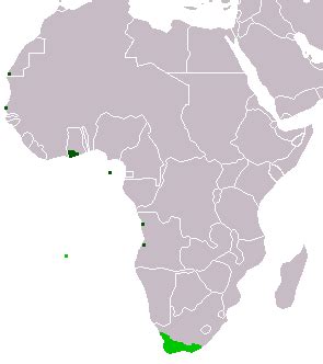 Dutch Colonies in Africa | List, Influence & Trading Companies | Study.com