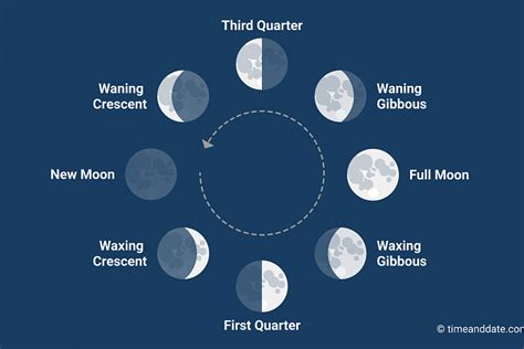 Diagram Of Phases Of The Moon