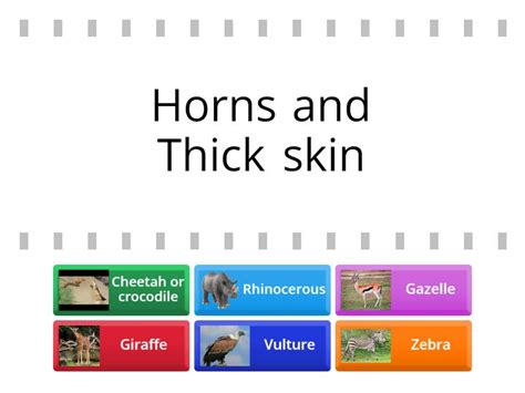 Savanna Biome adaptations - Find the match