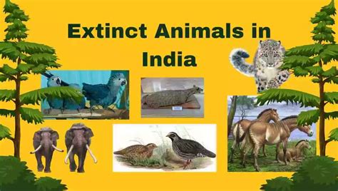 Top 120+ Extint animals in india - Merkantilaklubben.org