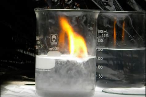 Reaction of Sodium With Water - Miracle-has-Morrison