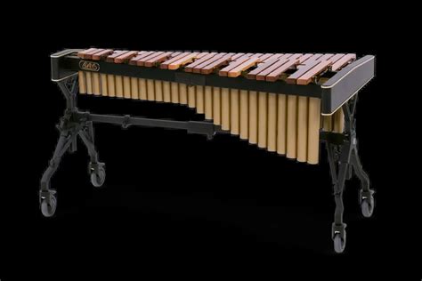 Famous Xylophone Players: Best of All Time! – Top Music Tips