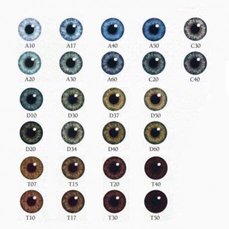 A10 master race! Jk *cries in T50* | Eye color chart genetics, Eye color facts, Eye color chart