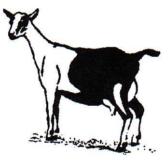 Dairy Goat Silhouette at GetDrawings | Free download