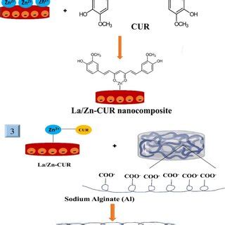 A schematic for hydrogel preparation using the chemical structure of ...