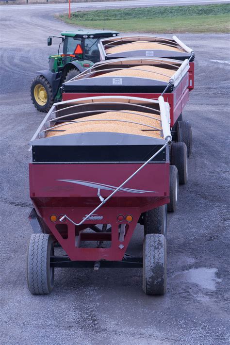 corn-drying-and-storage-ottawa-4 - Wilmarvale Elevators Ltd