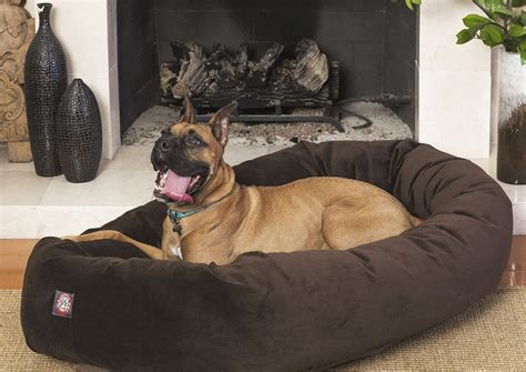 7 Of The Best Dog Beds For Large Dogs - BarkPost