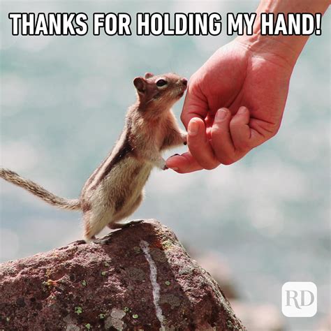 20 Kindness Memes That Spread Cheer — Funny Memes About Kindness