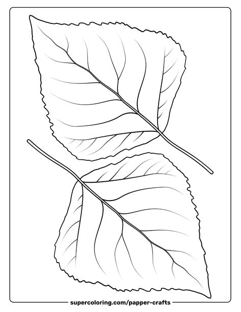 2 Leaves of Quaking Aspen Template | Free Printable Papercraft Templates