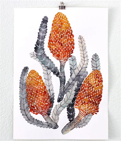 Watercolor Painting Banksia Nature Art Giclee Art by RiverLuna