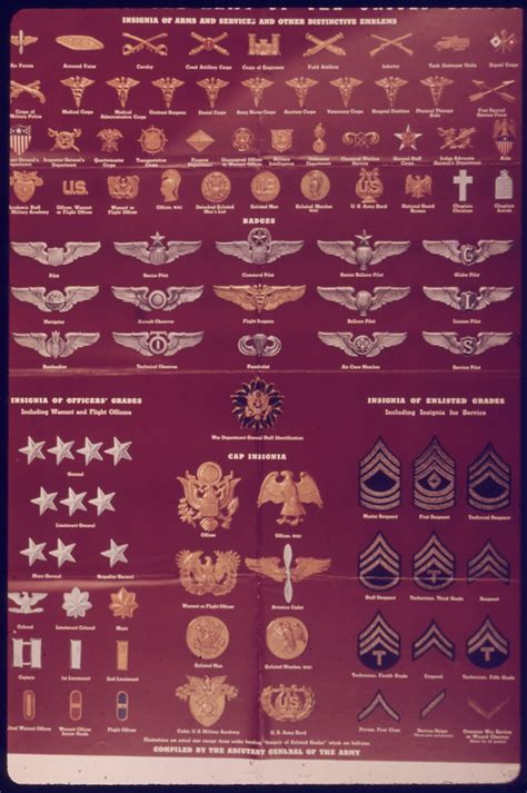 United States Army enlisted rank insignia of World War II - Wikiwand