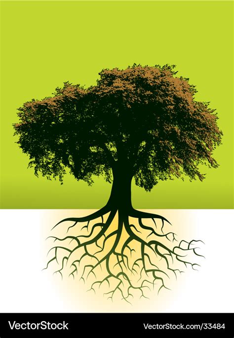 Trees roots Royalty Free Vector Image - VectorStock