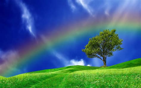 Rainbow Tree Wallpapers - Wallpaper Cave