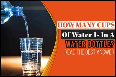 How Many Cups Of Water Is In A Water Bottle? Read The Best Answer