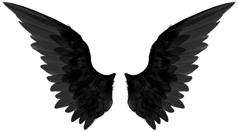 Black wings PNG