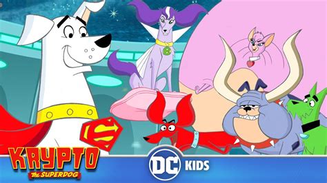 Krypto The Superdog | Let's Meet The Dog Star Patrol |@dckids - YouTube