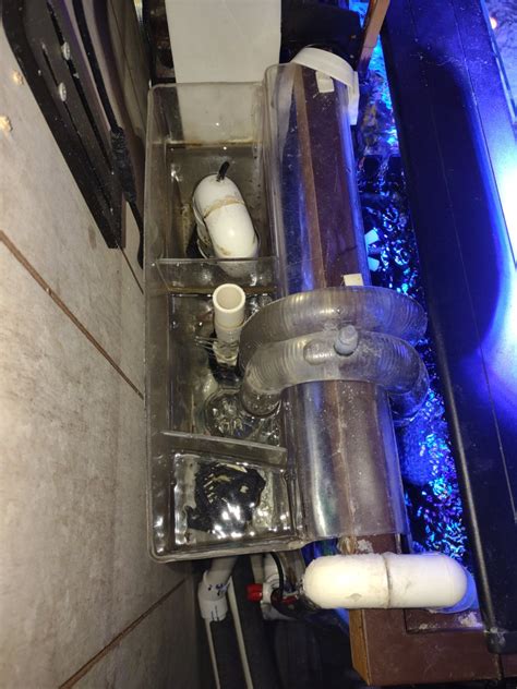 Build Thread - My DIY 125 Gallon Setup | Reef2Reef