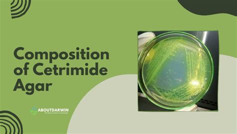 Cetrimide Agar: Uncover Its Composition, Principle, and More