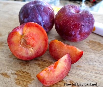 Try Something New: Plumcot | How to Have it All