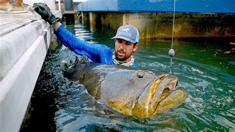 What is the biggest fish in the world? - The Fishing Times | Fishing Magazine