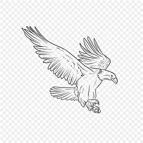 Clipart Eagle Wings Outline Png