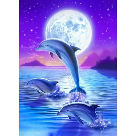 Day of the Dolphin Midnight Poster Print by Robin Koni - Walmart.com ...