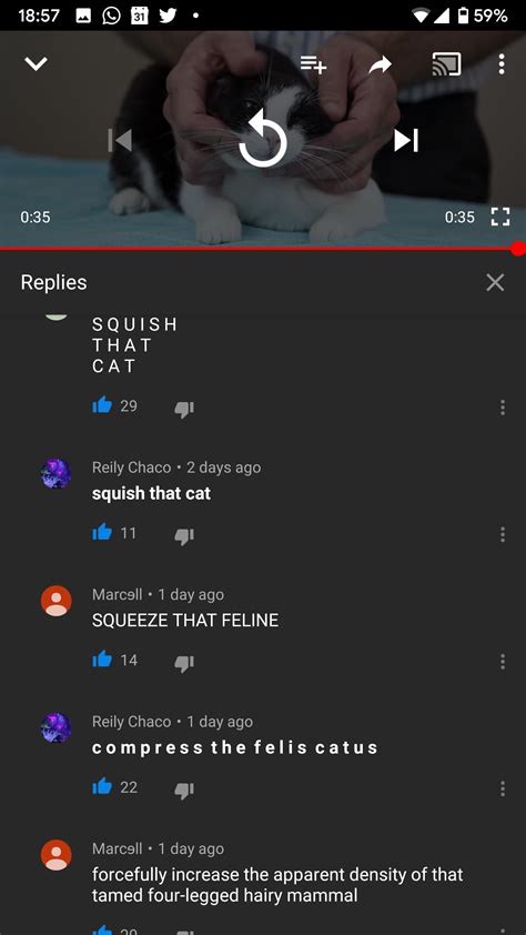 Squish That Cat : r/ConsistentlyVerbose