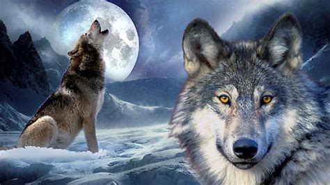 🔥 [50+] Wolf and Moon Wallpapers | WallpaperSafari