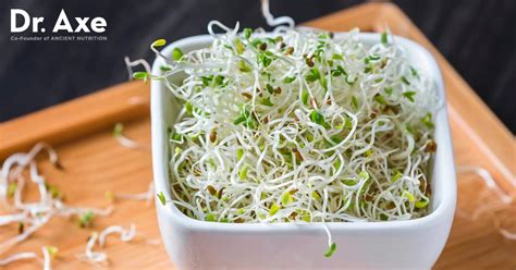 Alfalfa Sprouts Benefits, Nutrition and How to Grow - Dr. Axe