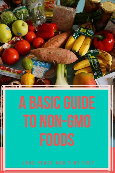 Non-GMO Meaning: A Basic Guide To Non-GMO Foods | Gmo free food, Gmo foods, Gmo foods list