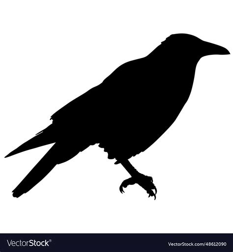 Silhouette bird raven on a white background Vector Image