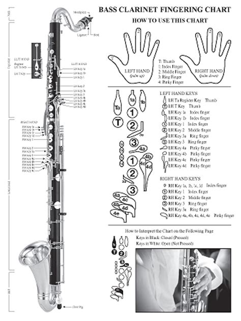 Basic Instrumental Fingering Chart for Bass Clarinet - Linton-MILANO Music