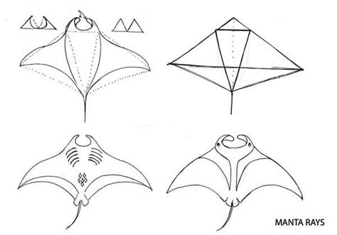 Drawing Manta Ray Step By Step Coloring Pages : Coloring Sun | Jellyfish art, Manta ray ...