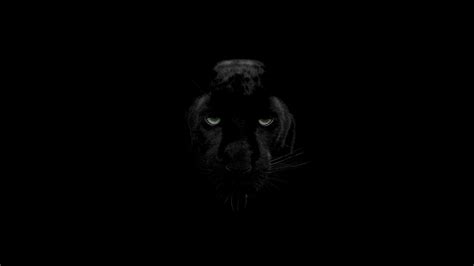 Black Panther Eyes Wallpapers - Top Free Black Panther Eyes Backgrounds - WallpaperAccess